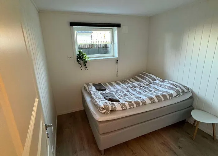 Apartament North